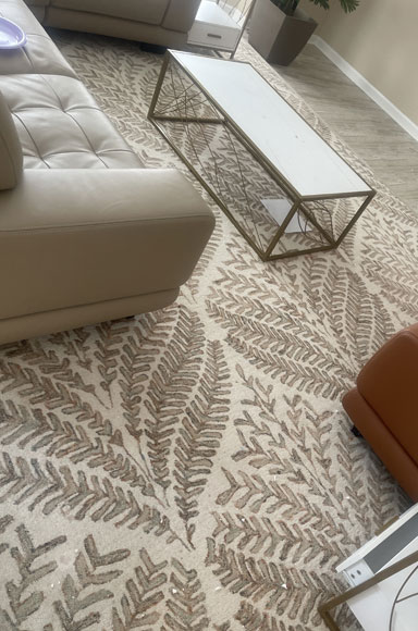 Rug Cleaning Rug Cleaning